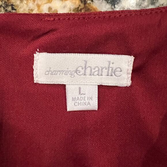 Charming Charlie Red/Maroon Short Sleeve Shift Dress - SIZE LARGE - Picture 7 of 10